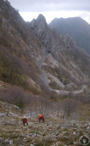 Immagine 2