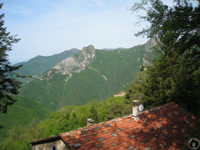 Immagine 2