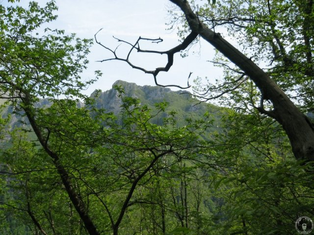 Immagine 3