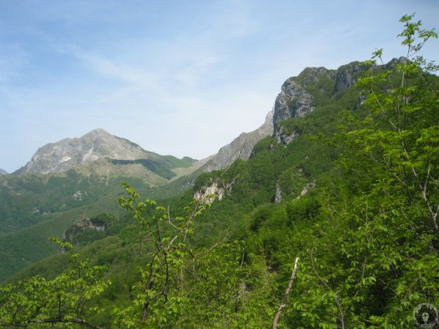 Immagine 12