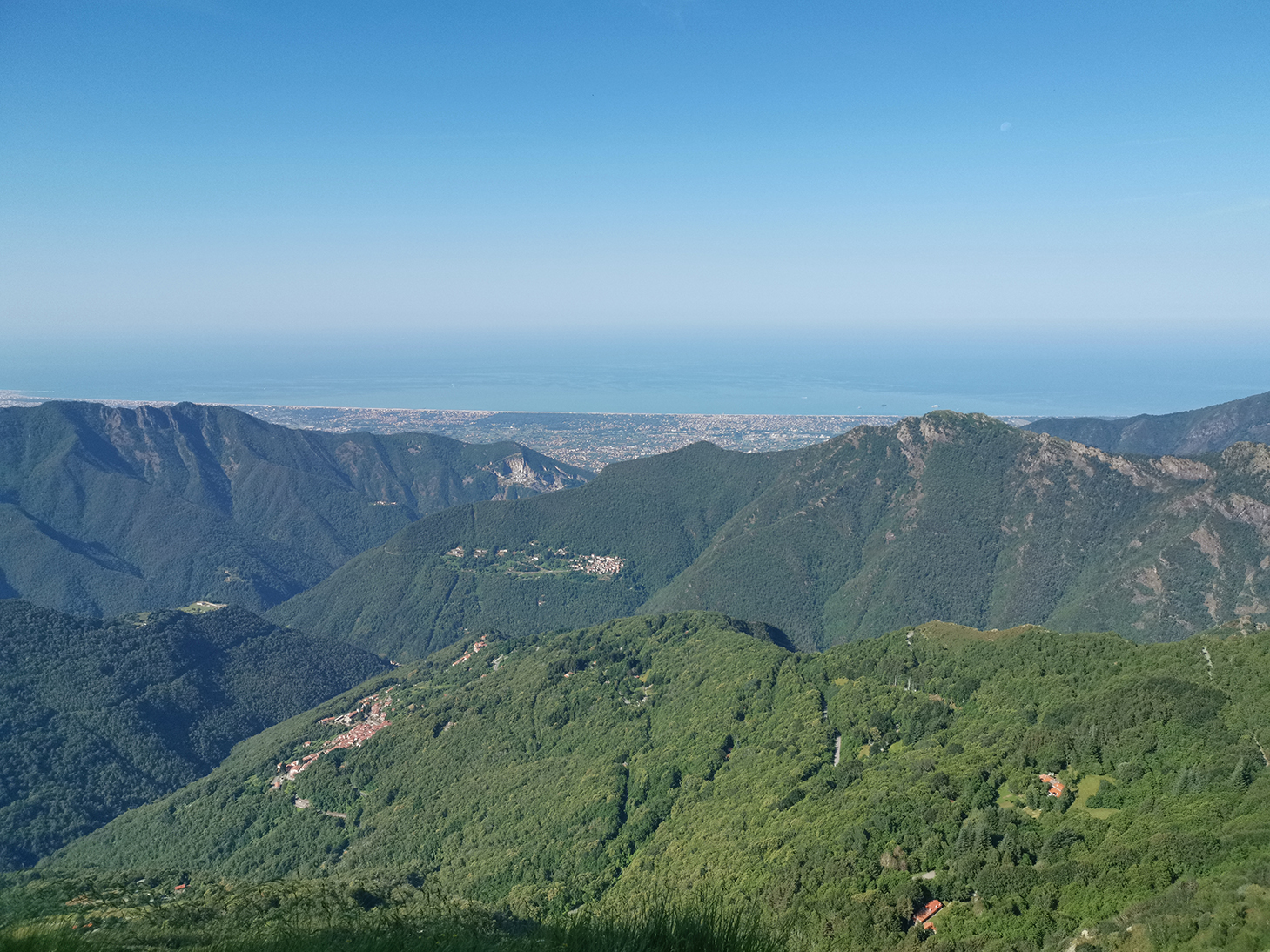 Immagine 2