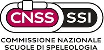 CNSS-SSI