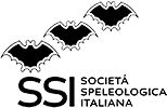 SSI